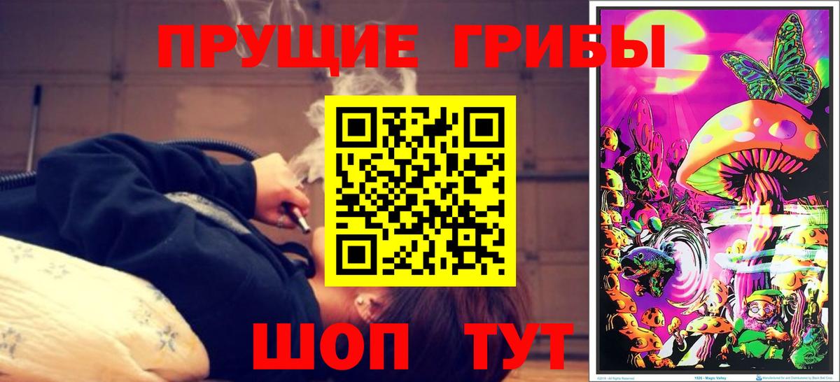 Псилоцибиновые грибы Magic Shrooms  Вход с VPN  Галлюциногенные грибы Psilocybine cubensis  Заречный 